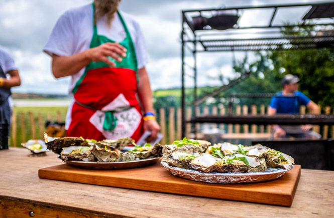 Two plates full of oysters at the Rock Oyster Festival in Cornwall