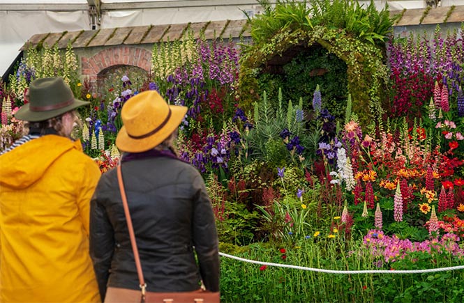 Two people looking at one of the impressive flower displays at the Flower Show at Royal Cornwall Show