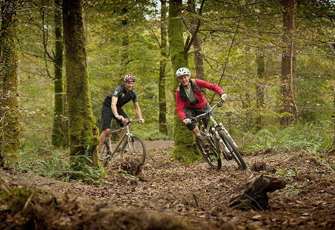 Two people cycling through Cardinham Woods