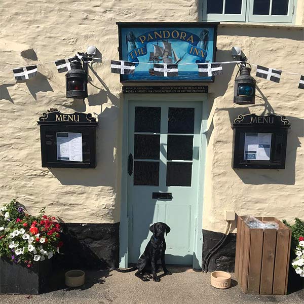 Dog-friendly restaurants and pubs in Falmouth