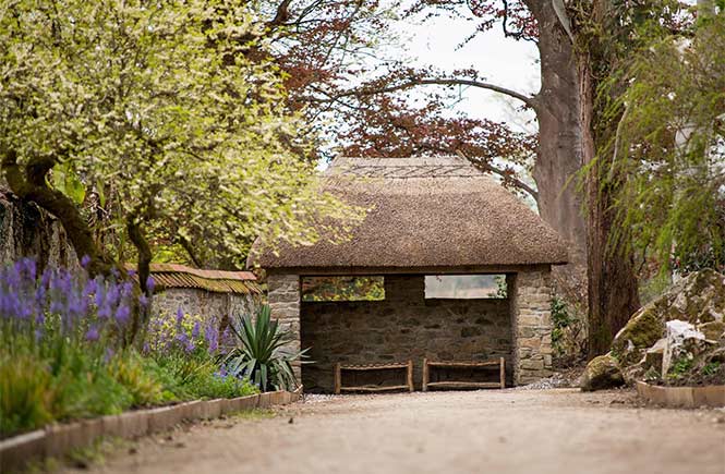 A pretty garden path and thatched hut at Enys Gardens in Falmouth