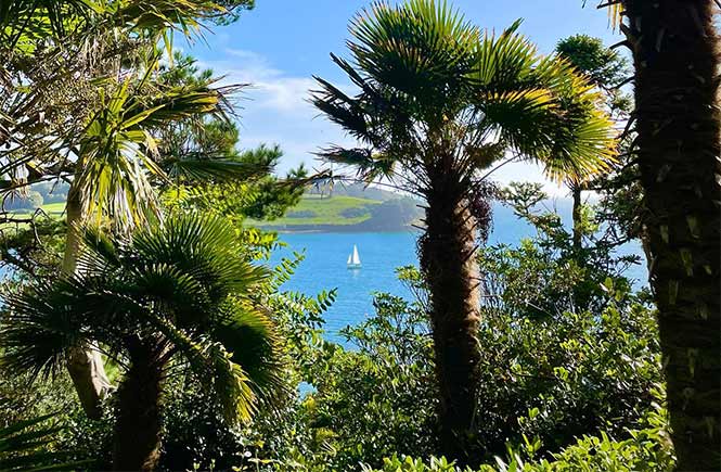 Looking through the trees of Lamorran House Garden at the sea where a boat sails