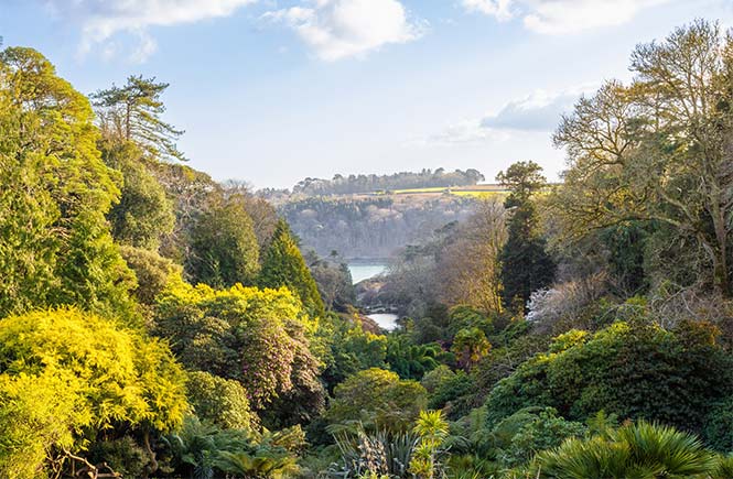 Looking down the beautiful green valley at Trebah Garden in Falmouth