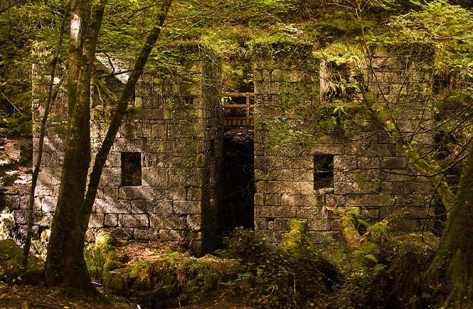 Of the eerie ruins covered in moss at Kennal Vale