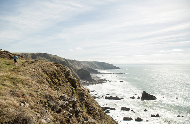 Someone walking along the dramatic cliffs near Morwenstow, one of the best walks in North Cornwall