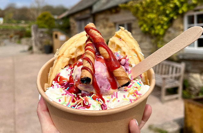 A bowl of waffles and ice cream at Callestick Farm