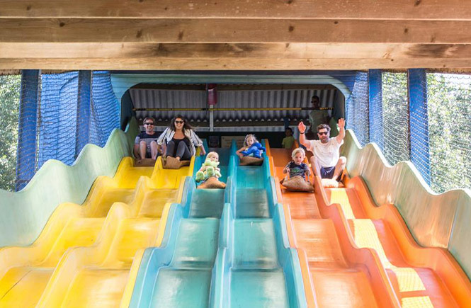 A family going down the brightly coloured slides at Camel Creek Adventure Park