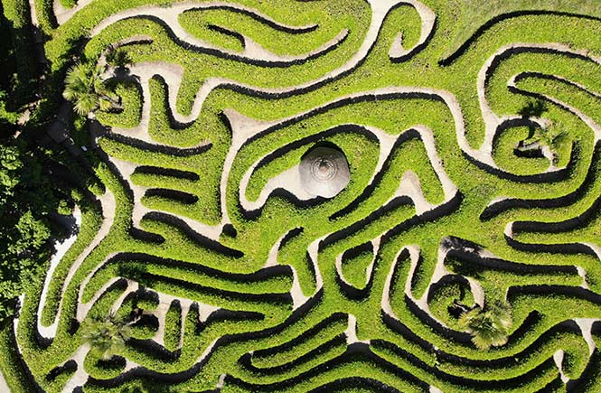 A bird's eye view of the fantastic maze at the National Trust Glendurgan Gardens