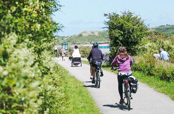 Families cycling along the Camel Trail in Cornwall on a sunny day
