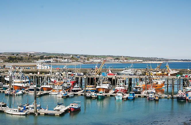 Lots of colourful boats lining Newlyn harbour