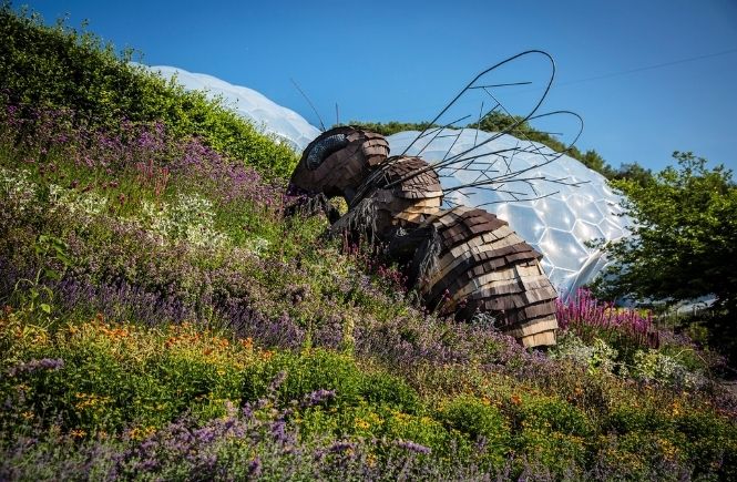 The giant bumblebee statue in the outside gardens at the Eden Project