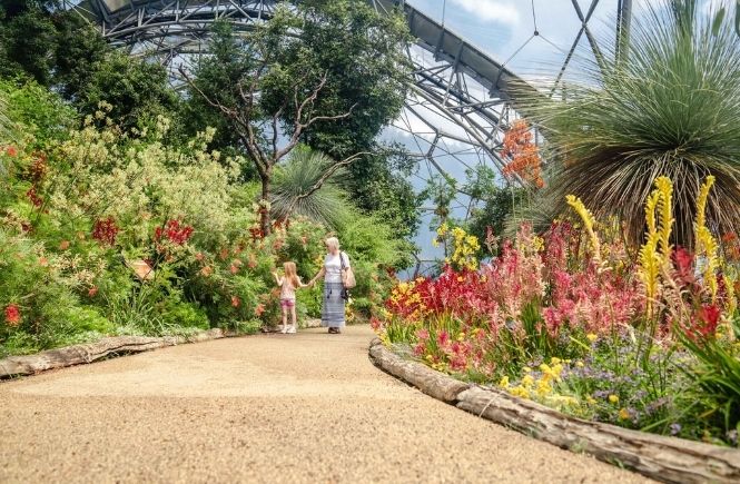 A family walking through the Mediterranean biome at the Eden Project