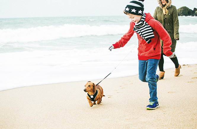 Beach Walks