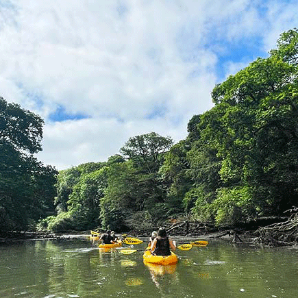 Kayaking on the Helford River