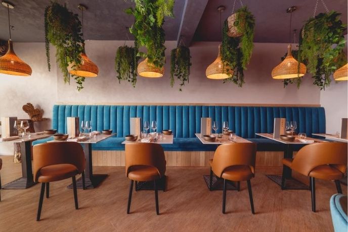 A photo of the interior of Cove24 with tables, chairs, hanging plants and lights