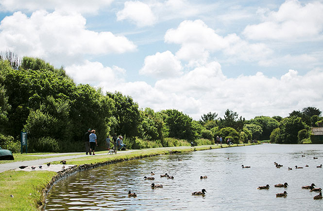 Bude Canal