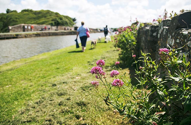 Bude Canal