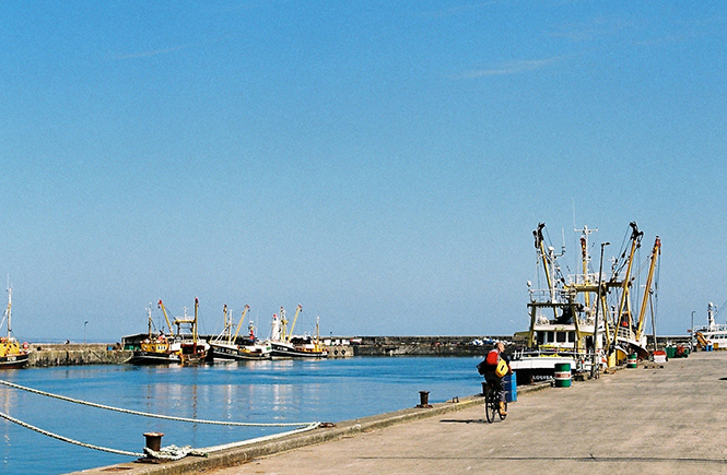 Newlyn Harbour