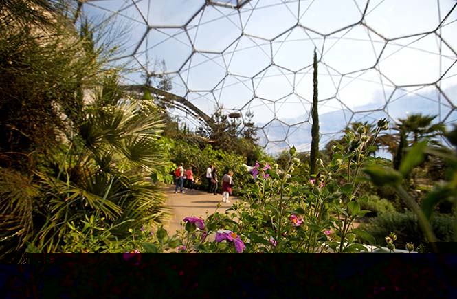 Eden Project Mediterranean Biome