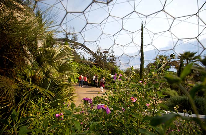 Eden-Project