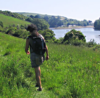 Fal River Autumn Walking Festival | October 2011