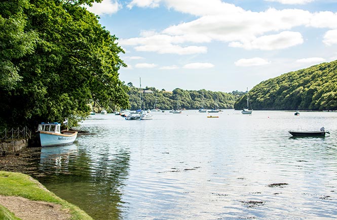 Helford river cruise