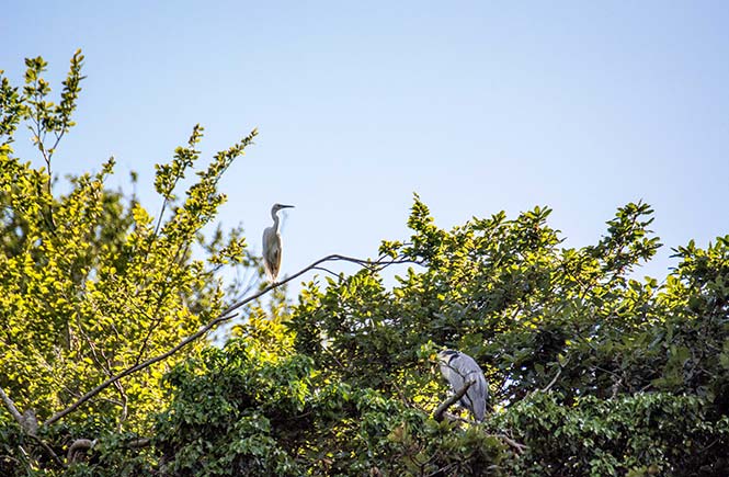 Helford-Rivier-Cruise-(41-of-67)