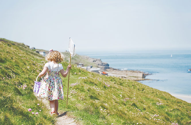 Summer walks in Cornwall