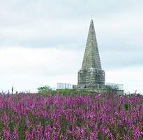 Steeple Wood Stroll