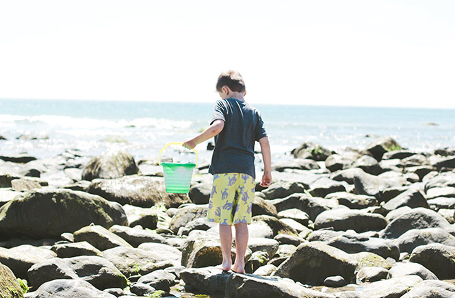 Rockpooling,-Cornwall