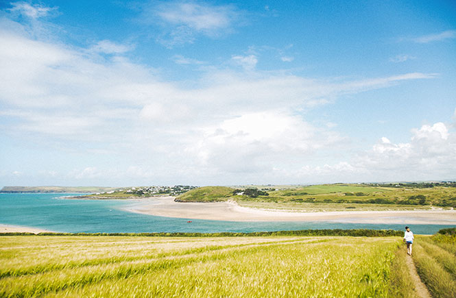 The Camel estuary