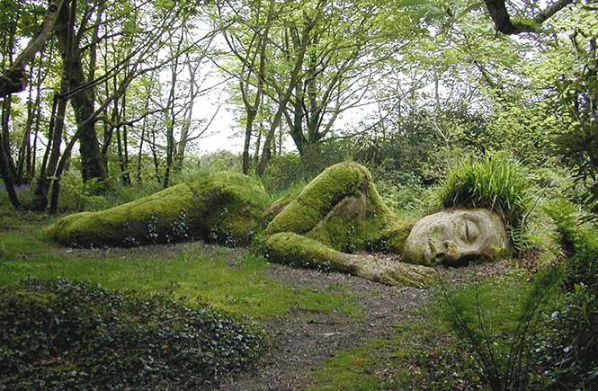 The lost gardens of Heligan