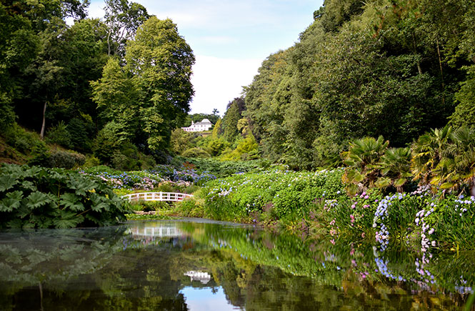 Trebah Gardens