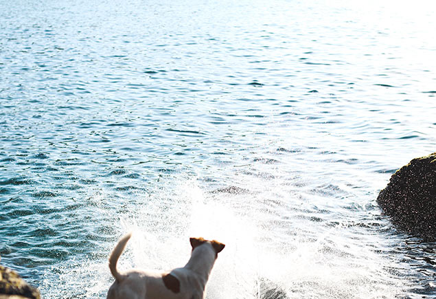 Wild Swimming Photo 4