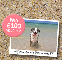 Win £100 off your next holiday