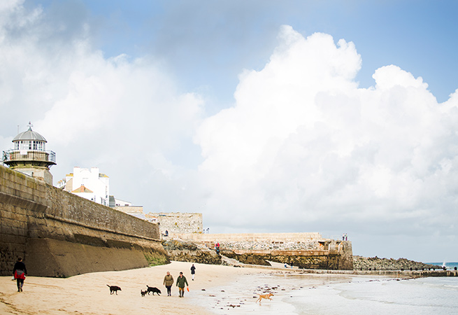 dog-friendly-in-st-ives