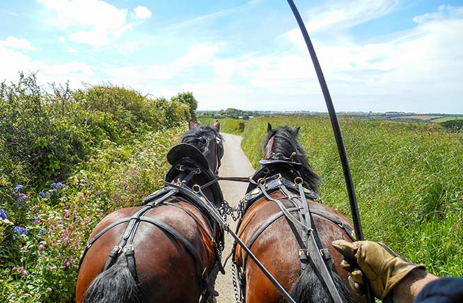 horse-riding-in-cornwall