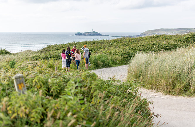 foraging in Godrevy