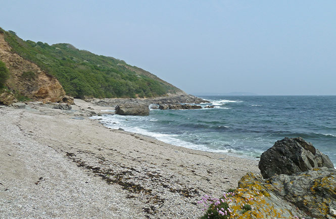 The shingly dog-friendly beach Sunny Cove in Falmouth