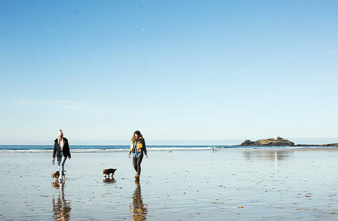 Two people walking dogs on Godrevy Beach with Godrevy Lighthouse in the background