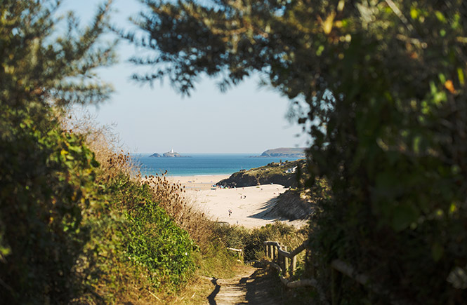 Looking through the trees at Porthkidney Beach with Godrevy Lighthouse in the distance