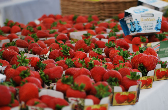 Strawberries at Trevaskis Farm Big Weekend 2011