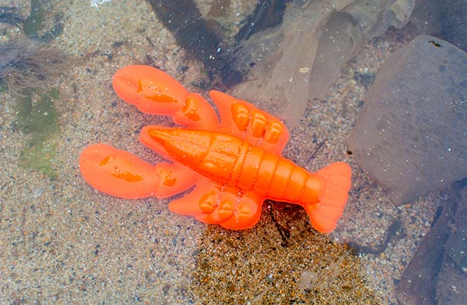 Plastic lobster toy found on Praa Sands beach