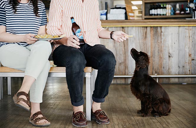 Two people enjoying some food and drink with their dog at Rick Stein Fistral in Newquay