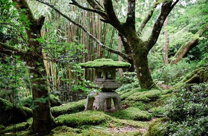 A moss-covered statue surrounded by moss-covered trees at the Japanese Garden in Cornwall