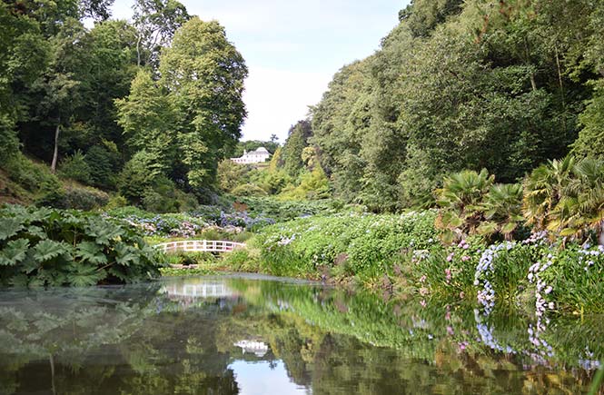 A beautiful pond surrounded by flowers and foliage at Trebah Gardens in Cornwall
