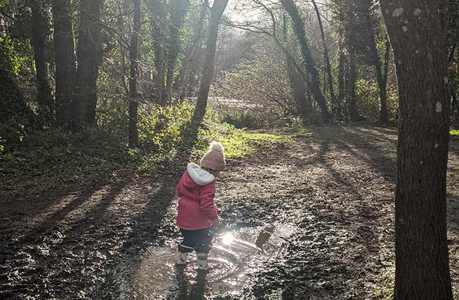 A child splashes in a puddle at Tehidy Woods.