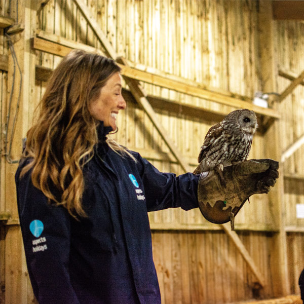 A visit to Screech Owl Sanctuary & Animal Park