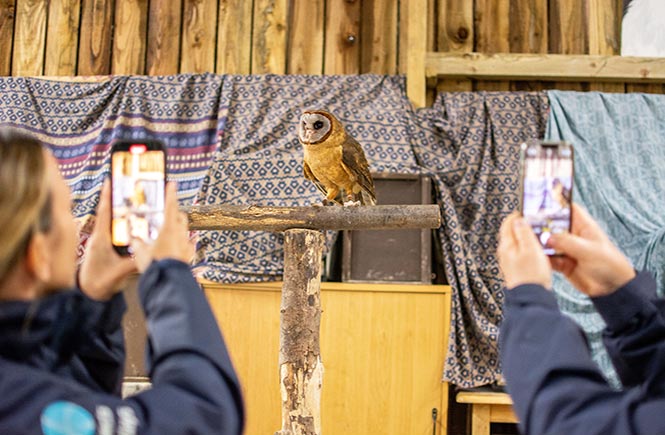 Owl talk at Screech Owl Sanctuary in Cornwall