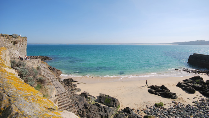Dog friendly beaches in St Ives
